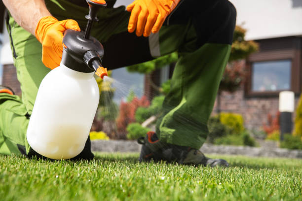 Professional Pest Control in Fairchild Af, WA