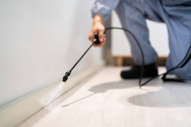 Best Local Pest Control Services  in Fairchild Af, WA