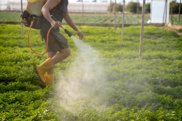 Best Best Pest Control Companies  in Fairchild Af, WA