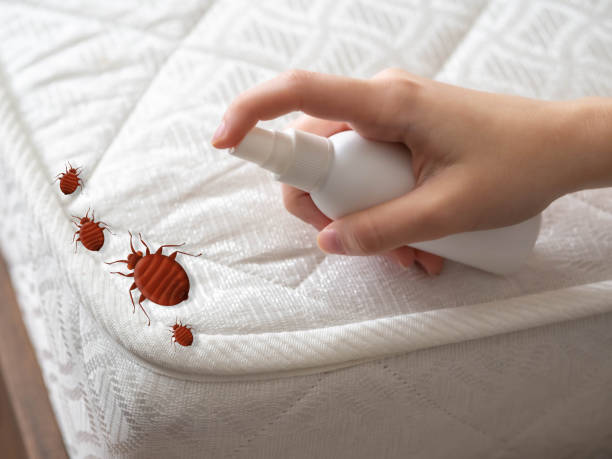 Best Pest Prevention Services  in Fairchild Af, WA