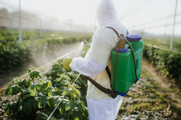 Best Affordable Pest Control Services  in Fairchild Af, WA